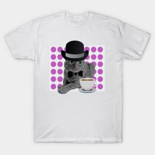 Sir Oliver Wendall Coffee Cat T-Shirt